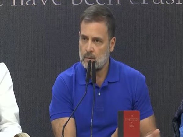 Rahul Gandhi Links Parliament Scuffle to Adani Indictment, Calls It ‘New Distraction’