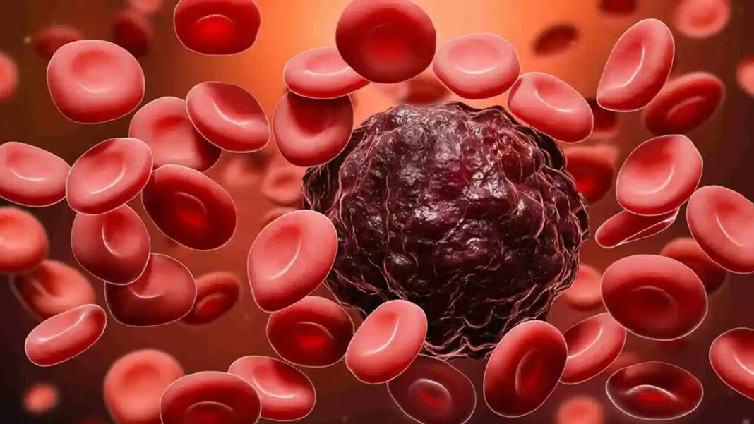 India Approves Qartemi: A “Living Drug” for Blood Cancer Treatment