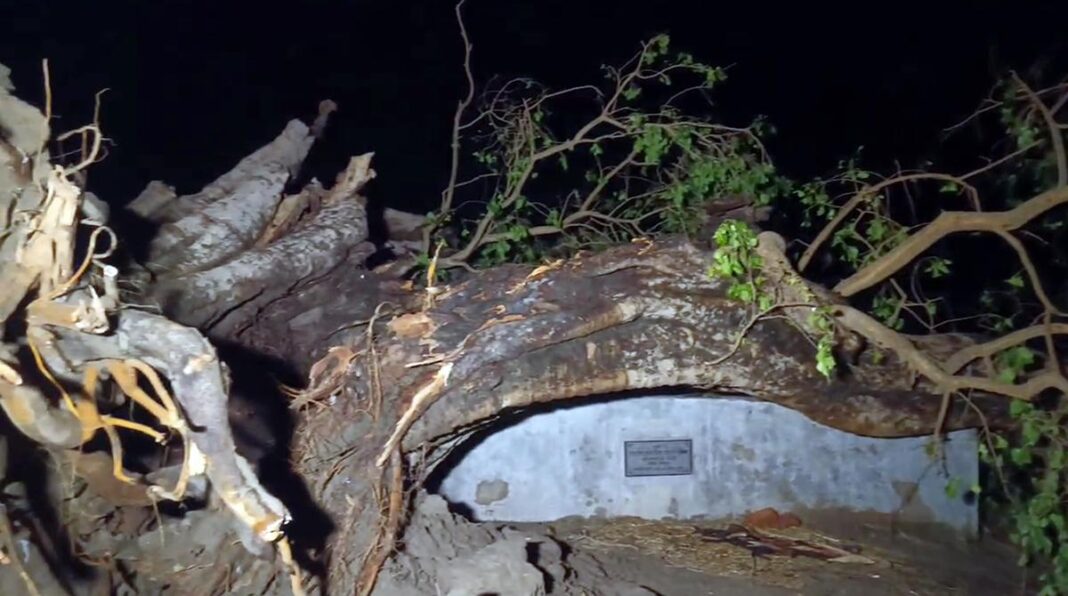 Nearly 50 Killed in Rain-Related Incidents Across Bihar and Uttar Pradesh; Alerts Issued