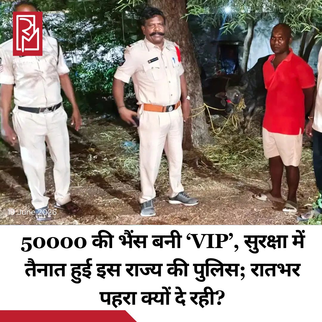 #sampadakexpress आंध्र प्रदेश के चित्तूर जिले के पुथलपट्टू मंडल के थिम्मिरेड्डीपल्ली गांव में एक मेले के दौरान भैंस की बलि को अधिकारियों ने रोक दिया. गांव वाले 50 हजार रुपये में खरीदी गई भैंस की बलि देने ही वाले थे, तभी तीन युवकों ने केंद्रीय पशुपालन मंत्रालय में शिकायत दर्ज करा दी. जिला प्रशासन को सूचना दी गई और पुलिस ने रात भर निगरानी रखकर पशु बलि को रख दिया. यह पूरा इलाके में चर्चा का विषय बन गया है. चित्तूर जिले में एक भैंस को पुलिस सुरक्षा की आवश्यकता पड़ गई. पुथलपट्टू मंडल के थिम्मिरेड्डीपल्लील गांव में मेले में आयोजन किया था, जिसमें शामिल होने के दूर-दराज से भी बड़ी संख्या में लोग आ रहे थे. गांव के बुजुर्गों ने विद्वानों से परामर्श करके गांव में अम्मावरी जतारा आयोजित करने का समय तय किया था. मेले के हिस्से के रूप में एक भैंस की बलि देने का निर्णय लिया गया और गांव वालों ने मिलकर 50,000 रुपये में भैंस खरीदी.#Chittoorfair #Buffalosacrifice #cancelled #complaint #UnionMinistryofAnimalHusbandry  #newsfeed2025 #newstoday2025 #NewsUpdate