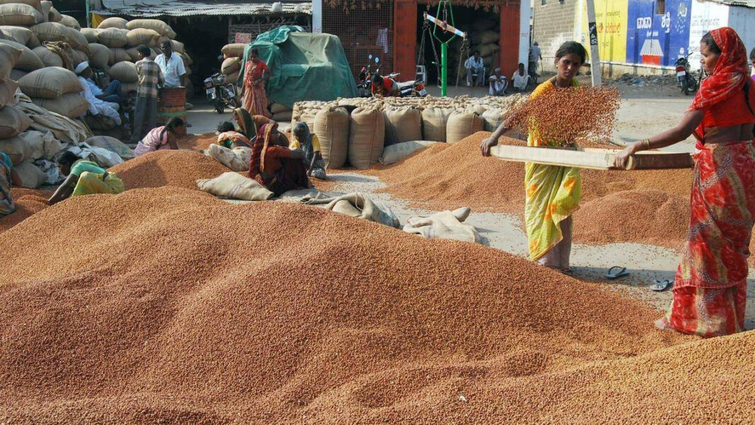 GI Tagged Kalaburagi Tur Dal: Export Success to Maldives "GI Tagged Kalaburagi Tur Dal Achieves Export Success in Maldives"