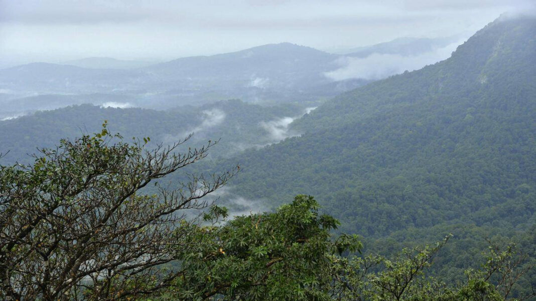 Western Ghats Protection: Residents and Environmentalists Challenge Karnataka Politicians Claims "Residents and Environmentalists Unite Against Karnataka Politicians' Claims on Western Ghats Protection"