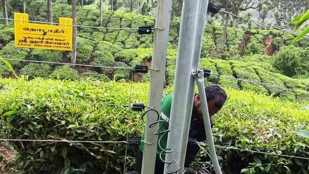 Idukki to Restart Dismantling Illegal Fences Hindering Elephant Corridors "Idukki Takes Action: Dismantling Illegal Fences Blocking Elephant Corridors"