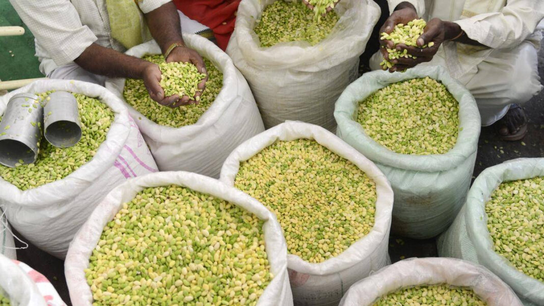 Avare Mela@25: How Bengalurus Food Festival Became a Solution to Food Wastage "Avare Mela@25: Bengaluru's Innovative Food Festival Tackling Food Wastage"