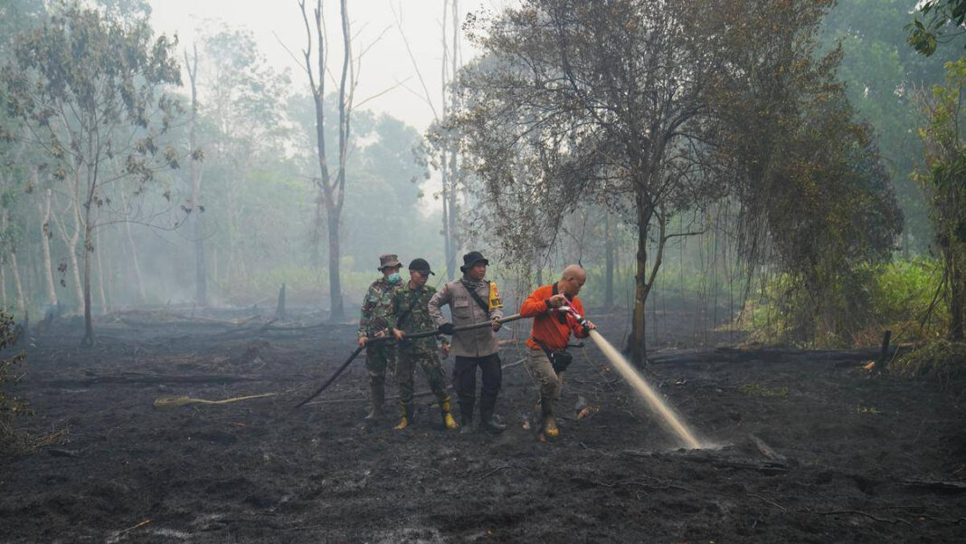 Super El Niño Expected to Lead to 15,800 Extra Heat-Related Deaths in India, Report Warns "Super El Niño Could Cause 15,800 Heat-Related Deaths in India, Alert Report Warns"