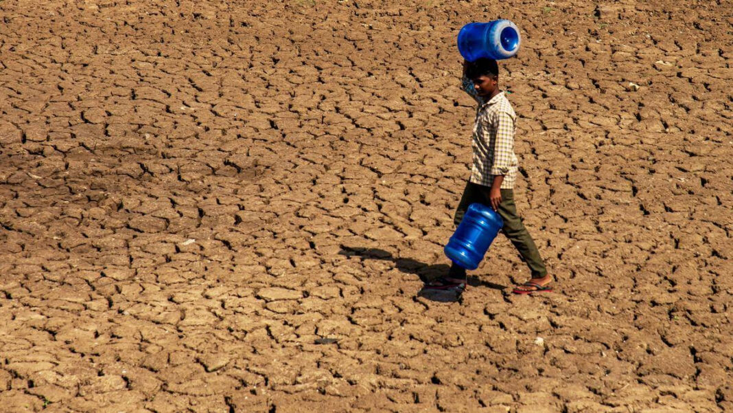 Refreshing Respite: How Recent Rainfall Revives Life After Drought "Reviving Nature: The Impact of Recent Rainfall on Post-Drought Ecosystems"