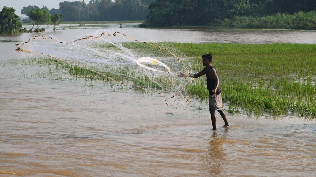 Impact of El Niño: Drought and Flood Challenges for North Andhra Farmers "El Niño Effects: Drought and Flood Challenges Facing North Andhra Farmers"