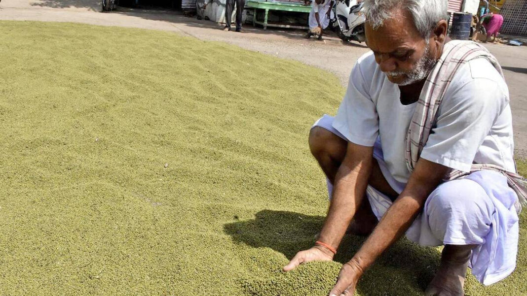 Centre to Procure Sunflower, Green Gram and Soybean at MSP in Karnataka Karnataka MSP: Centre to Procure Sunflower, Green Gram and Soybean