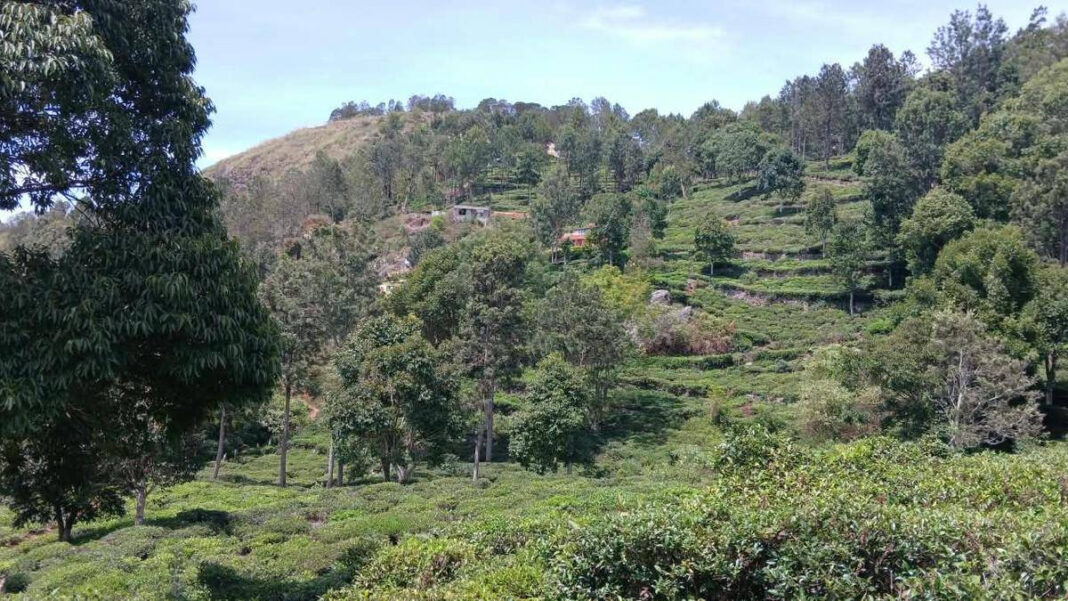 Communal Rift Erupts in Nilgiris Over 40-Year Demand for Road to Scheduled Caste Village "Communal Tensions Rise in Nilgiris Over 40-Year Road Demand to Scheduled Caste Village"