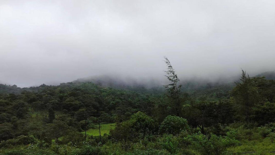 Over 17 lakh applications seeking grant of land remain pending or rejected in Karnataka