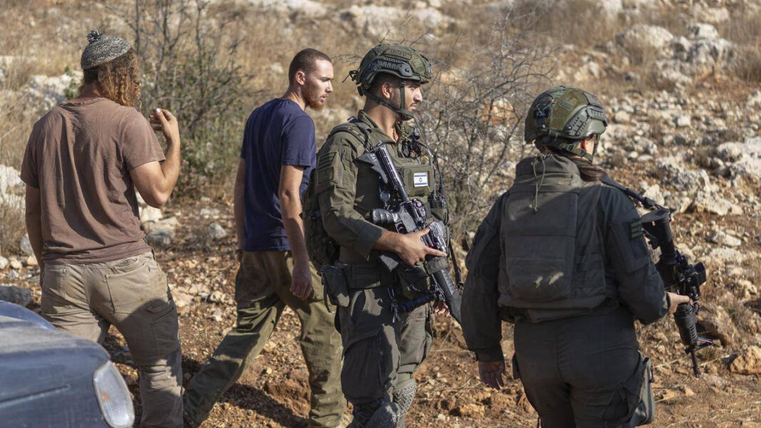 UN Experts Call for Israel to Safeguard West Bank Olive Farmers Rights "UN Experts Urge Israel to Protect Olive Farmers' Rights in the West Bank"