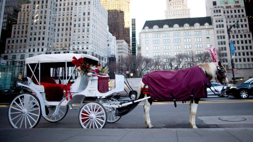 New York City set to end horse-drawn carriages under law named after Indian tourist