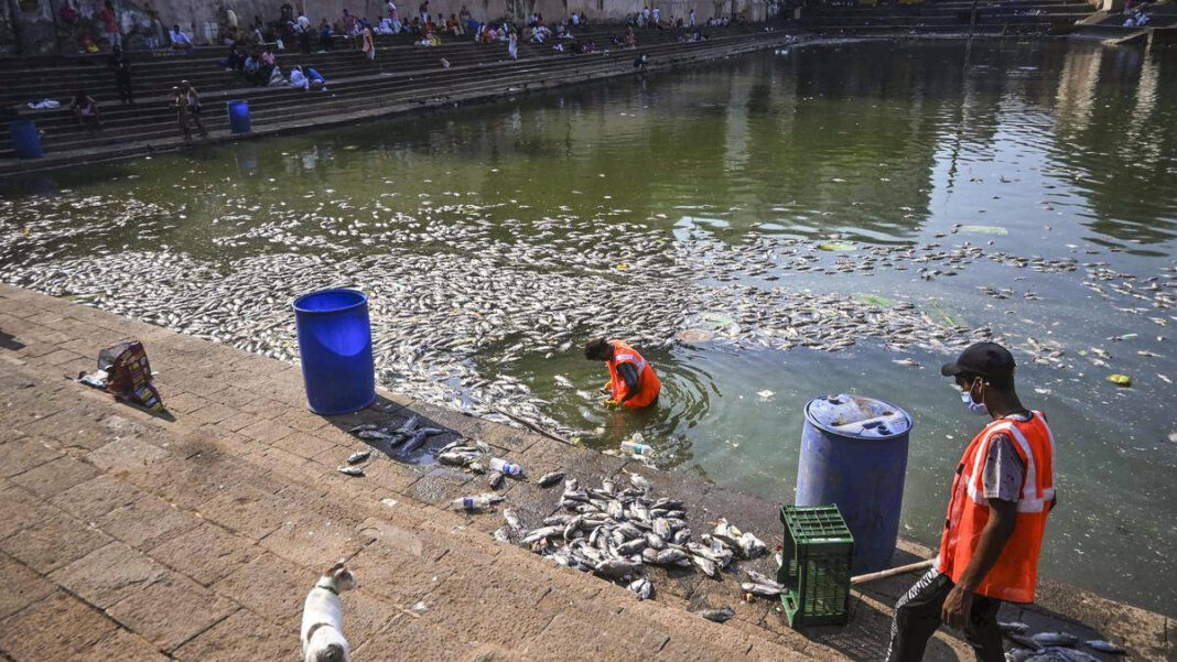 BMC to Meet Residents Over Fish Deaths at Mumbais Banganga Tank Mumbai Banganga Tank Fish Deaths: BMC to Meet Residents