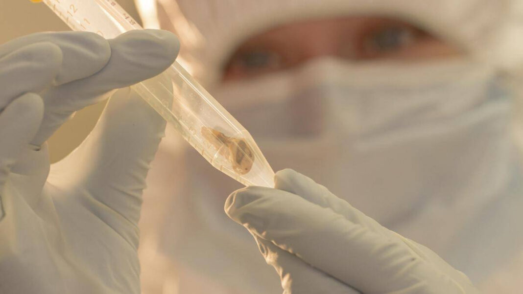 Russia Investigates Mysterious Pneumonia Death of Worker at Siberian Plague Institute "Russia Probes Unexplained Pneumonia Fatality of Employee at Siberian Plague Institute"