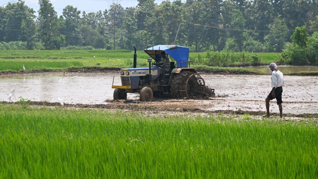 Study Finds Most Rural Agricultural Workers Moved to Low-Productivity Urban Informal Jobs Over the Past 25 Years
