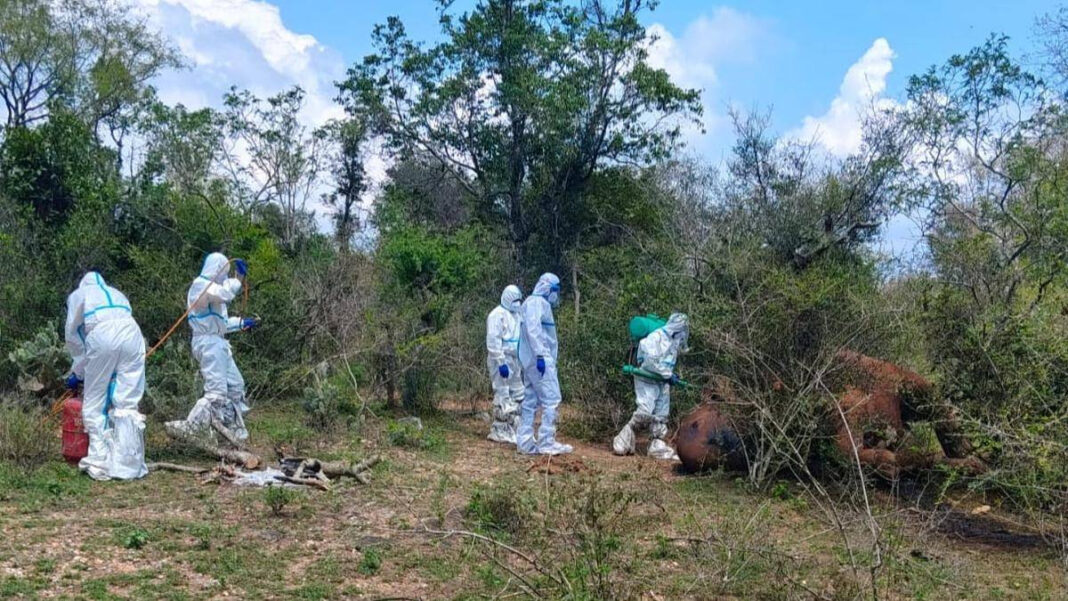 Anthrax Kills Female Elephant in Coimbatore Forest; Carcass Burnt Anthrax Kills Female Elephant in Coimbatore Forest, Carcass Burned