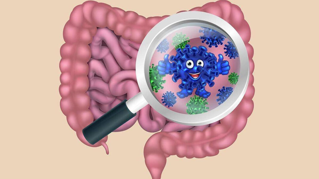 Study in Keralam sheds light on link between gut bacteria, Parkinsons disease Study in Keralam sheds light on link between gut bacteria, Parkinsons disease